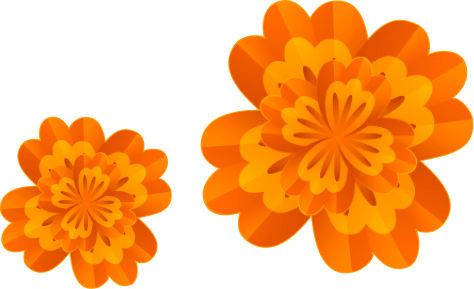 Decorative marigolds