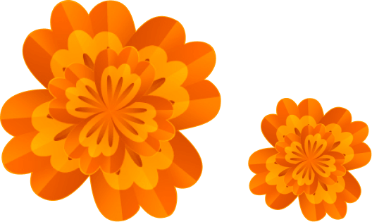 Decorative marigolds