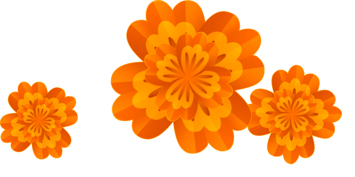 Decorative marigolds